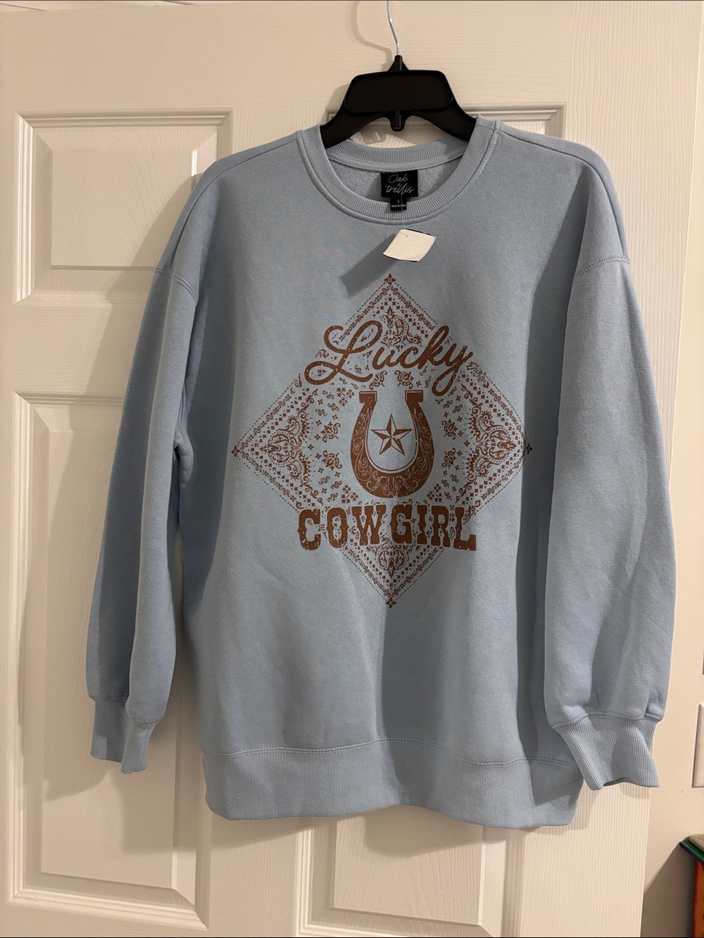 Lucky Cowgirl Light Blue Graphic Sweatshirt